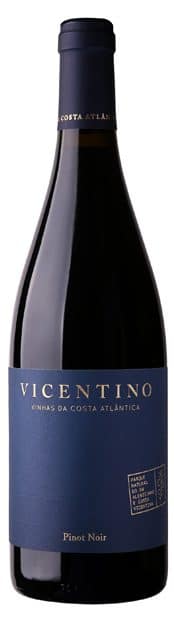 Vicentino Pinot Noir